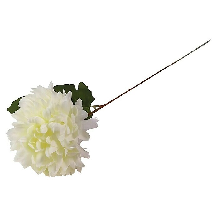 Umjetni cvijet  (Visina: 48 cm, Boja cvijeta: Bijela) | BAUHAUS