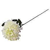 Umjetni cvijet  (Visina: 48 cm, Boja cvijeta: Bijela) | BAUHAUS