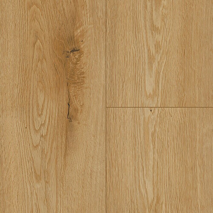 LOGOCLIC Edition Laminat Family (Riverside, Landhausdiele, 1 288 x 245 x 7 mm) | BAUHAUS