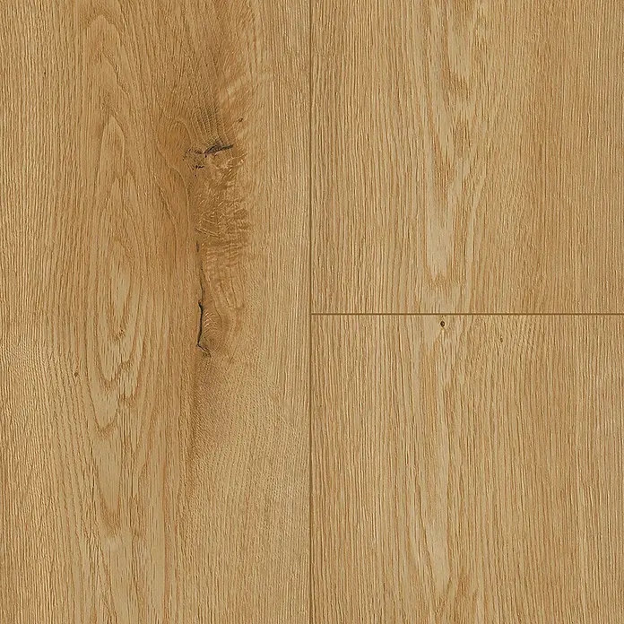 LOGOCLIC Edition Laminatmuster Riverside - 300 x 245 x 7 mm, Landhausdiele - Nahaufnahme von hellem Eichenparkett mit natürlicher Maserung und Astlöchern, ideal für eine warme und einladende Atmosphäre.