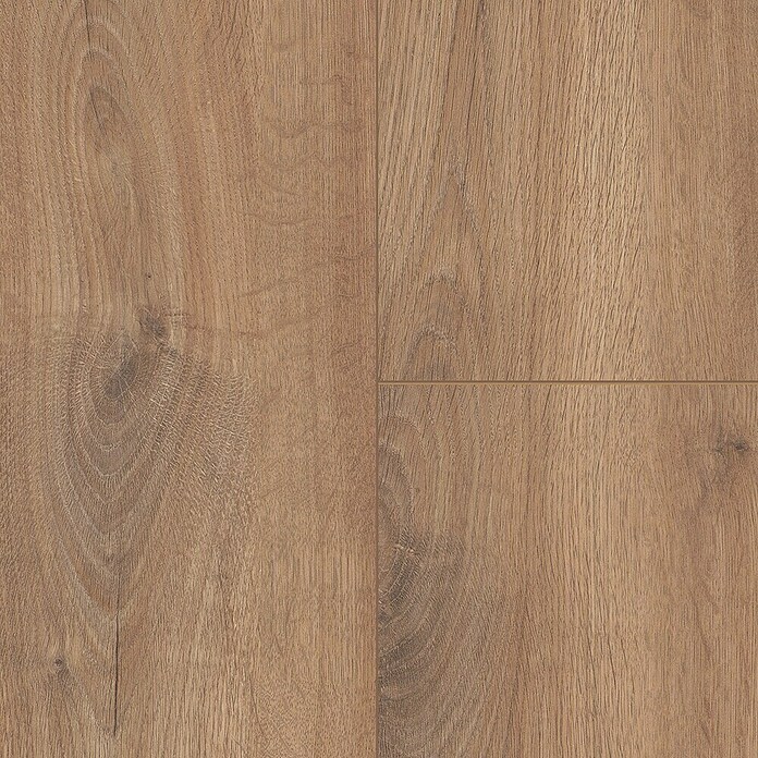 LOGOCLIC Edition Laminat Vinto Sundance Oak (Sundance Oak, Landhausdiele, 1 288 x 245 x 8 mm) | BAUHAUS