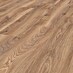 Sundance Oak