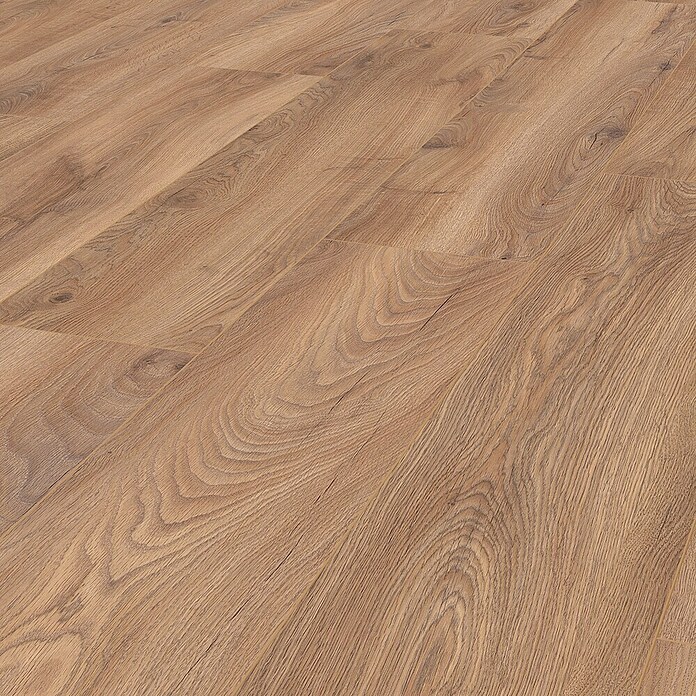 LOGOCLIC Edition Laminat Vinto Sundance Oak (Sundance Oak, Landhausdiele, 1 288 x 245 x 8 mm) | BAUHAUS