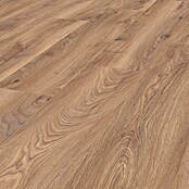LOGOCLIC Edition Laminat Vinto Sundance Oak (Sundance Oak, Landhausdiele, 1 288 x 245 x 8 mm) | BAUHAUS