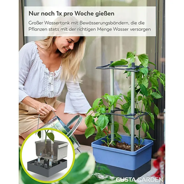 Gusta Garden Anzucht-Set Chili-Starter-Set - 5 -tlg., Blau - Selbstbewässernder Pflanzkasten von Gusta Garden für Chili Pflanzen, der nur einmal pro Woche gegossen werden muss.