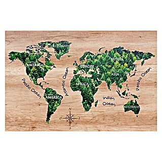 Póster enmarcada World map forest (Mapa forestal, An x Al: 97 x 65 cm)