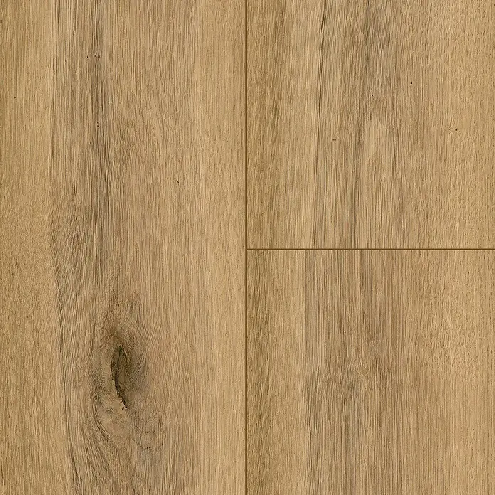 Living by Haro Parkett - Eiche pur gebürstet Naturöl, Landhausdiele, 2.200 x 180 x 11 mm - Nahaufnahme von hellem Eichenparkett mit natürlichen Maserungen und Astlöchern, ideal für moderne Innenräume.