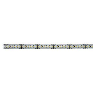Paulmann MaxLED 1.000 Tira LED (Largo: 1 m, Color de luz: Blanco cálido, 13,5 W, 1.100 lm, Recubierto)