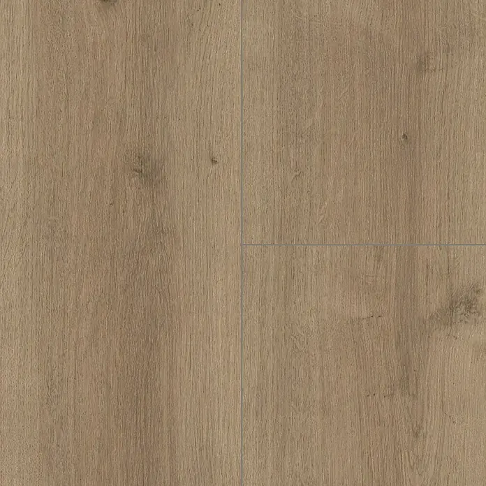 Parador Designbodenmuster Modular ONE Eiche Pure perlgrau - 200 x 194 x 8 mm, Landhausdiele, Eiche Pure perlgrau - Nahaufnahme von hellem Eichenlaminatboden. Das Laminat zeigt eine natürliche Holzmaserung und eine matte Oberfläche für ein authentisches Aussehen.