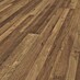 Eiche Linea antik