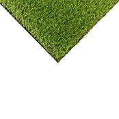 Césped artificial Dresde (5 x 2 m, Altura del pelo: 30 mm, Densidad: 19.000 puntadas/m²) | BAUHAUS