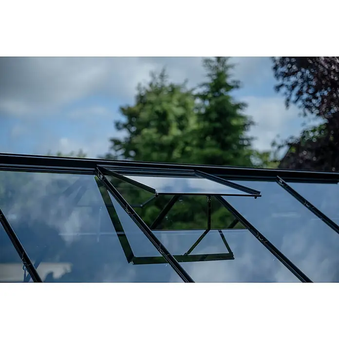 Halls Gewächshaus Popular 106 - Außenmaß inkl. Dachüberstand (B x T): 193 x 319 cm, Einscheibensicherheitsglas, 3 mm, Schwarz - Detailaufnahme eines Gewächshausfensters mit schwarzem Rahmen, das teilweise geöffnet ist und den blauen Himmel reflektiert.