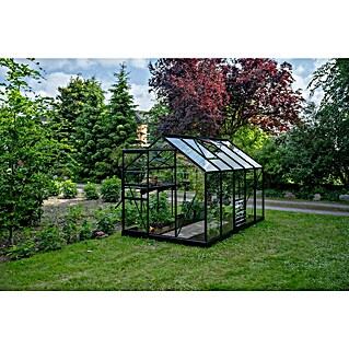 Halls Gewächshaus Popular 106 (Außenmaß inkl. Dachüberstand (B x T): 193 x 319 cm, Einscheibensicherheitsglas, 3 mm, Schwarz)