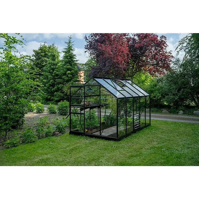Halls Gewächshaus Popular 106 - Außenmaß inkl. Dachüberstand (B x T): 193 x 319 cm, Einscheibensicherheitsglas, 3 mm, Schwarz - Ein modernes Gewächshaus mit schwarzem Rahmen, eingebettet in einen grünen Garten, bietet den perfekten Raum für Pflanzenzucht und Wachstum.