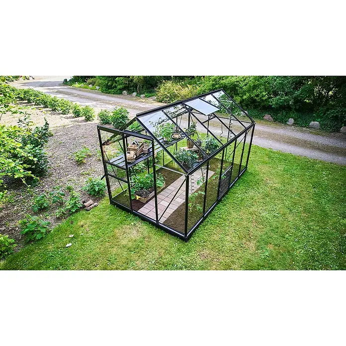 Halls Gewächshaus Popular 106 - Außenmaß inkl. Dachüberstand (B x T): 193 x 319 cm, Blankglas, 3 mm, Schwarz - Gewächshaus mit Pflanzen auf Regalen und Ziegelweg im Inneren, umgeben von Rasen und Vegetation für den Anbau von Blumen und Gemüse.