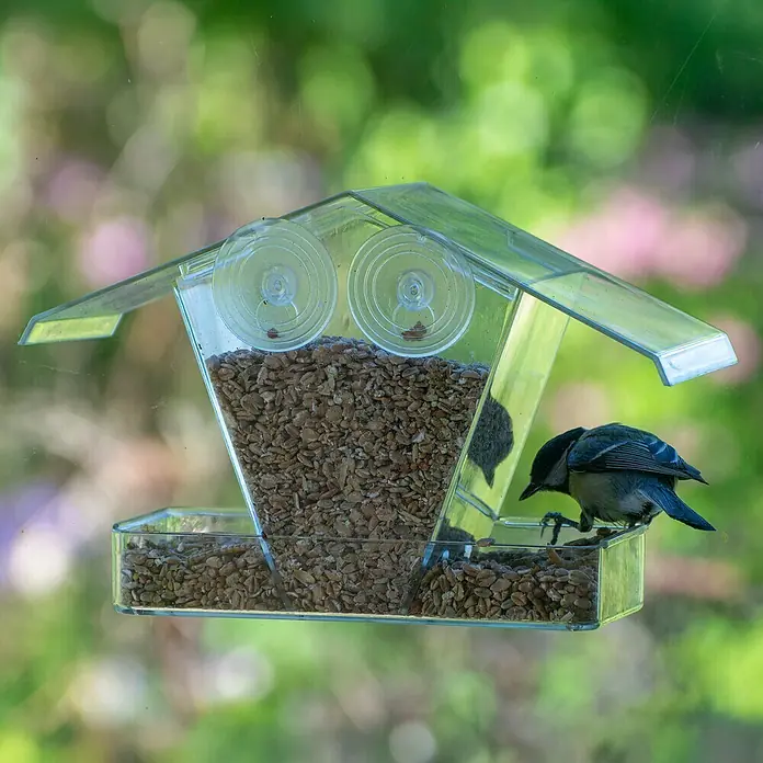 Dobar Vogelhaus - 24 x 9,6 x 15 cm, Holz, Transparent - Ein transparenter Vogelfutterspender mit einem kleinen Vogel, der Körner pickt, angebracht an einer Fensterscheibe mit Saugnäpfen.