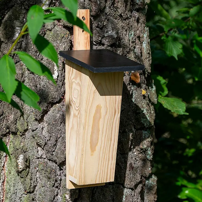 Dobar Nistkasten - Holz, Natur/ Dunkelbraun - Ein helles, hölzernes Fledermaushaus mit schwarzem Dach, befestigt an einem Baum mit rauer Rinde. Es bietet Unterschlupf und Schutz für Fledermäuse.