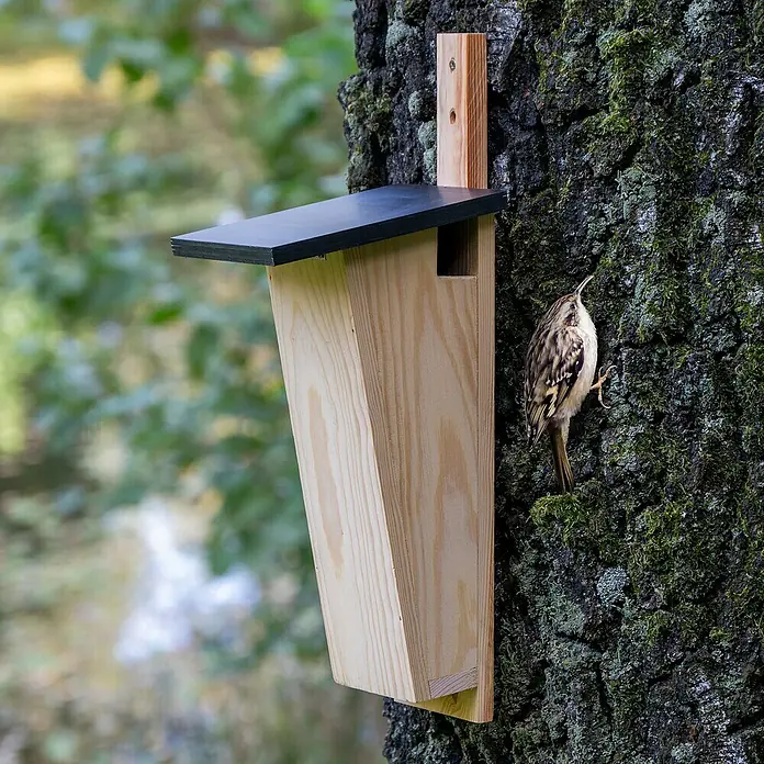 Dobar Nistkasten - Holz, Natur/ Dunkelbraun - Ein großes, vertikales, hölzernes Vogelhaus mit einem schwarzen Dach, das an einem Baum befestigt ist. Ein Vogel klettert an der Seite des Baumes.