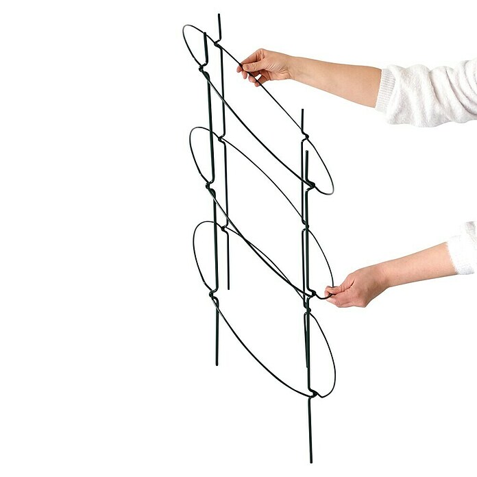 Bellissa Potporanj za grmlje  (Zelena, 43,5 x 78 cm) | BAUHAUS