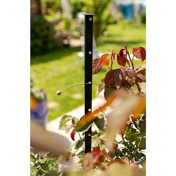 BAMBUSSTAB 210 cm