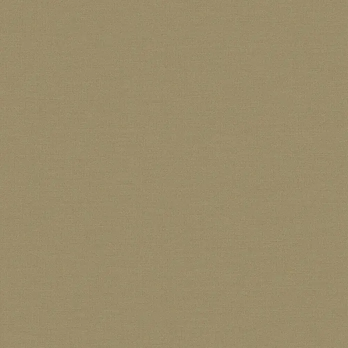 A.S. Création Pintwalls 2 Vliestapete - Grün-Khaki, Uni, 10,05 x 0,53 m - Elegantes Textil in sanftem Beige mit subtiler Textur. Ideal für stilvolle Bekleidung oder edle Heimtextilien.