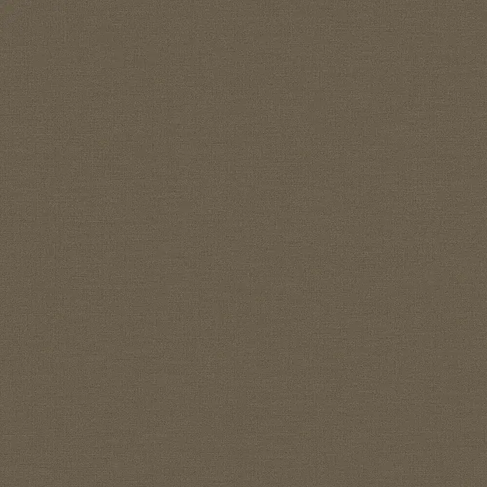 A.S. Création Pintwalls 2 Vliestapete - Braun, Uni, 10,05 x 0,53 m - Elegante, schlichte Textur in einem warmen Braunton. Ideal für Hintergründe oder Stoffmuster.