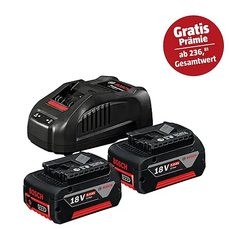 Bosch Professional AMPShare 18V Akku & Ladegerät 2x GBA 18V 5.0 Ah + GAL 1880 CV