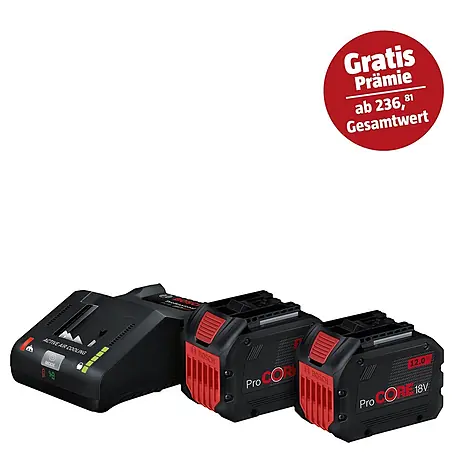 Bosch Professional AMPShare 18V Akku & Ladegerät