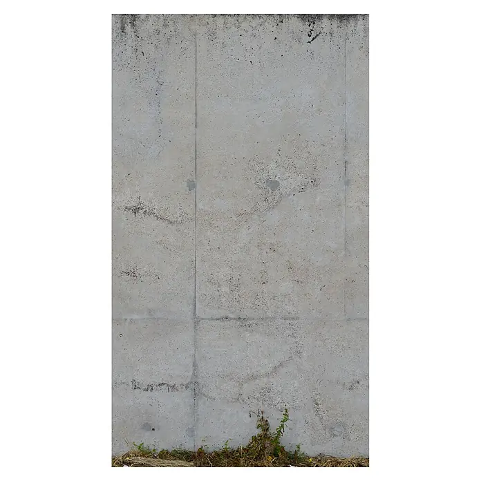 A.S. Création The Wall 2 Fototapete Betonoptik - B x H: 159 x 280 cm, Vlies - Betonmauer mit leichten Verfärbungen und Bewuchs am unteren Rand. Das robuste Material und die Struktur kommen gut zur Geltung.