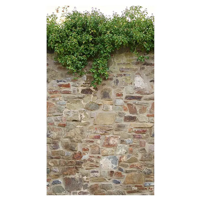 A.S. Création The Wall 2 Fototapete Steinwand mit Grünwuchs - B x H: 159 x 280 cm, Vlies - Eine malerische Steinmauer mit üppigem Grünbewuchs, die eine rustikale und natürliche Atmosphäre schafft.