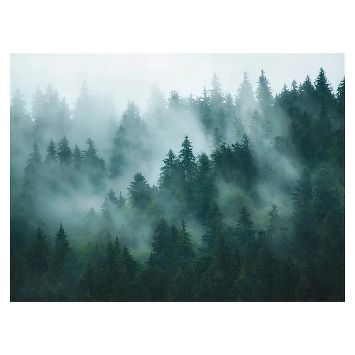 A.S. Création The Wall 3 Fototapete Dunkle Waldlandschaft im Nebel - B x H: 371 x 280 cm, Vlies - Mystischer Wald: Nebel umhüllt die grünen Tannen, schafft eine geheimnisvolle und ruhige Szene. Die verschwommenen Konturen betonen die Tiefe des Waldes.