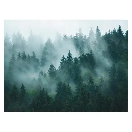 A.S. Création The Wall 3 Fototapete Dunkle Waldlandschaft im Nebel