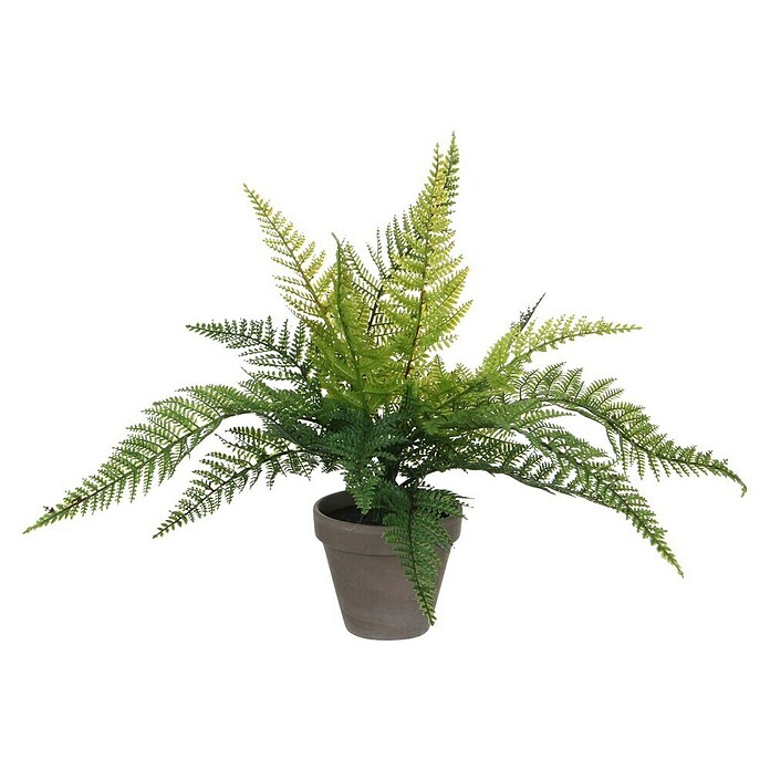 Umetna rastlina Praprot  (Višina: 40 cm, Plastika) | 8471 - Seidenblumen/Kunstpflanzen | IDDQ - Seidenblumen/Kunstpflanzen | IDD - Trendy | ID - Trendy | I - Stadtgarten | BAUHAUS