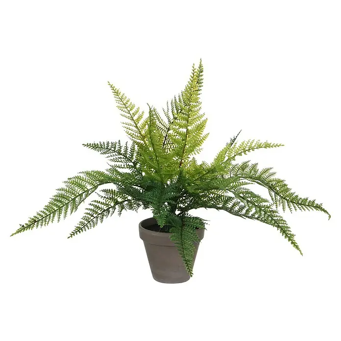 kleine kunstpflanze Kunstpflanze Helichrysum Italicum | 18cm | Kleine Kunstpflanzen main image 1