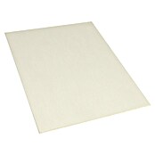 Sperrholzplatte Fixmaß (Pappel, 1 200 x 900 x 4 mm, Natur) | BAUHAUS