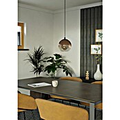 Eglo Lámpara colgante Ariscani (60 W, L x An x Al: 20 x 20 x 110 cm, Cobre, E27) | BAUHAUS