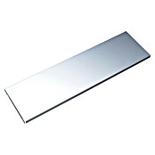 Element System Stahlfachboden (L x B: 80 x 25 cm, Traglast Einlegeboden: 30 kg, Weiß/Aluminium) | BAUHAUS