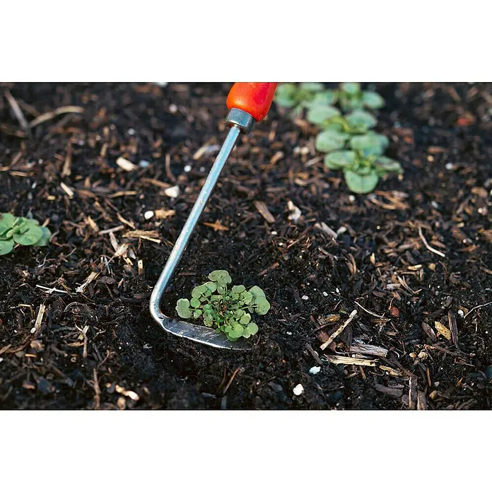 Felco Unkrautstecher 421 - Länge: 33 cm - Nahaufnahme einer Gartenhacke mit rotem Griff, die Unkraut zwischen jungen Pflanzen in dunkler Erde entfernt. Hilfreiches Werkzeug für die Gartenarbeit.
