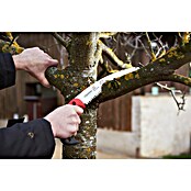 Felco Serrucho de podar 640 (Longitud hoja de sierra: 27 cm, Largo: 53 cm) | BAUHAUS