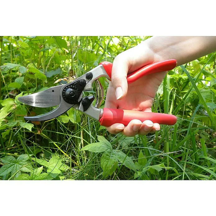 Felco Gartenschere 7 - Max. Aststärke: 25 mm - Eine Hand hält eine Gartenschere mit roten Griffen über grünen Pflanzen. Die Schere ist bereit zum Beschneiden.