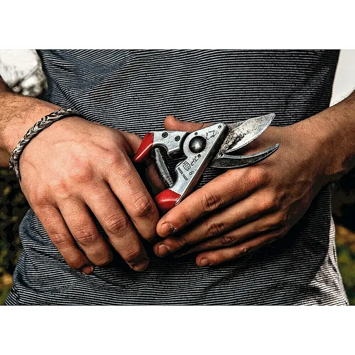 Felco Gartenschere 8 - Max. Aststärke: 25 mm - Nahaufnahme einer Felco 8 Gartenschere, gehalten in Händen vor einem gestreiften Hemd. Perfekt für den präzisen Schnitt im Garten.