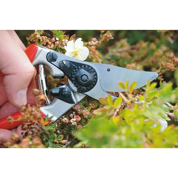 Felco Gartenschere 9 - Bypass, Max. Aststärke: 25 mm - Eine Nahaufnahme einer Felco-Gartenschere, die in einem Garten mit grünen Pflanzen und einer einzelnen weißen Blüte zum Beschneiden bereit ist.
