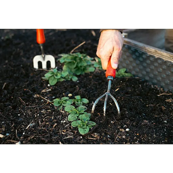 Felco Gartenkralle 411 - Arbeitsbreite: 5,5 cm - Nahaufnahme von Gartenwerkzeug, das zum Auflockern des Bodens um kleine Pflanzen herum verwendet wird, wobei der Fokus auf dem Werkzeug liegt.