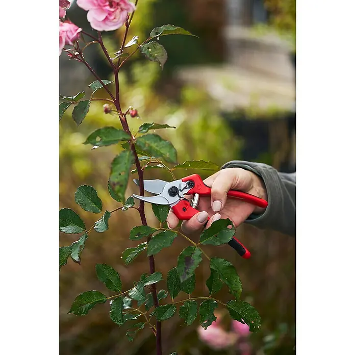 Felco Gartenschere 171M - Mittel - Max. Aststärke: 20 mm - Eine Hand schneidet mit einer roten Gartenschere einen Rosenstiel, im Hintergrund sind weitere Pflanzen unscharf zu sehen.