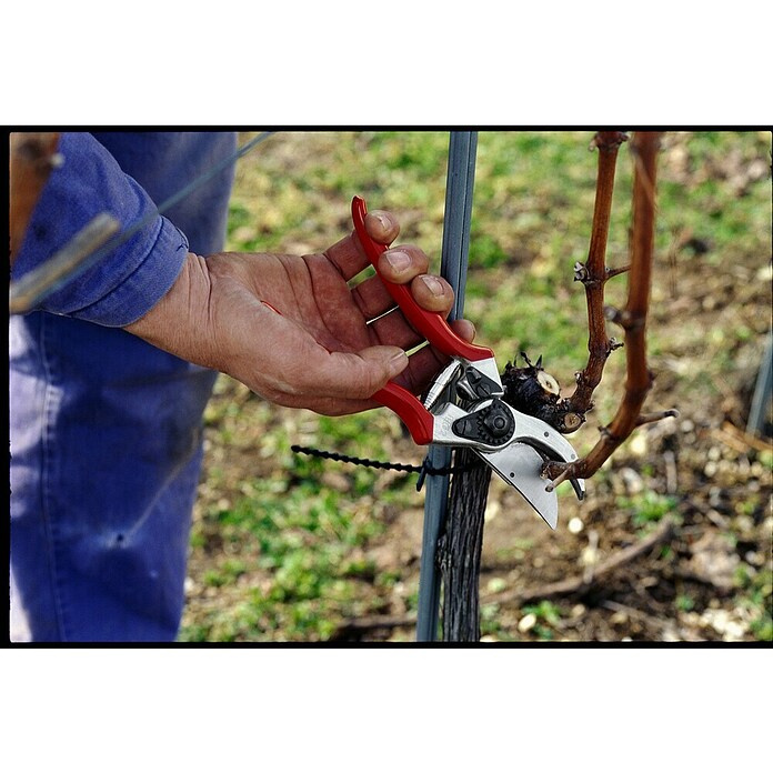 Felco Gartenschere 2 (Max. Aststärke: 25 mm) | BAUHAUS