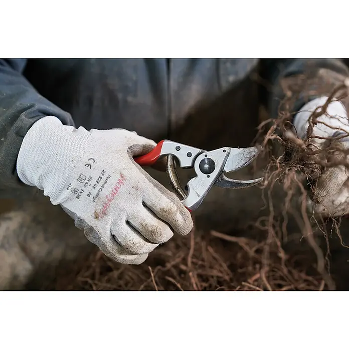 Felco Gartenschere 14 - Bypass, Max. Aststärke: 18 mm - Nahaufnahme einer Person, die mit einer Astschere mit roten Griffen Wurzeln beschneidet und dabei Handschuhe trägt.