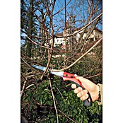 Felco Serrucho de podar 611 (Longitud hoja de sierra: 33 cm, Largo: 57 cm) | BAUHAUS