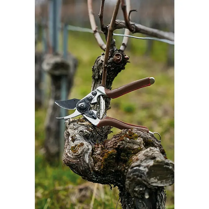 Felco Gartenschere 6 Elite - Bypass, Max. Aststärke: 20 mm - Nahaufnahme einer Amboss-Schere auf einem Ast, ideal zum mühelosen Schneiden dickerer Äste im Garten.