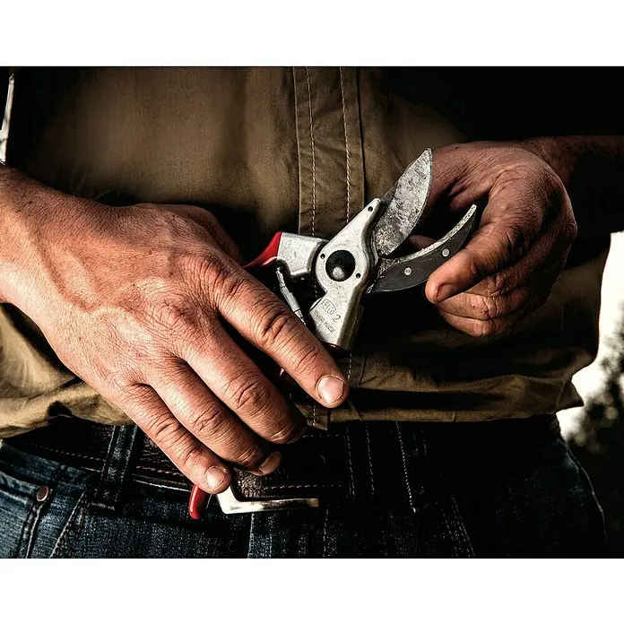 Felco Gartenschere 2 - Max. Aststärke: 25 mm - Nahaufnahme einer Person, die eine silberne Gartenschere der Marke Felco 2 in den Händen hält, ein Werkzeug für die Gartenarbeit.