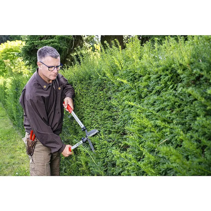 Felco Hand-Heckenschere 250-63 - L x B x H: 71 x 25 x 11 cm, Rot - Ein Mann, der eine grüne Hecke mit einer Heckenschere schneidet.